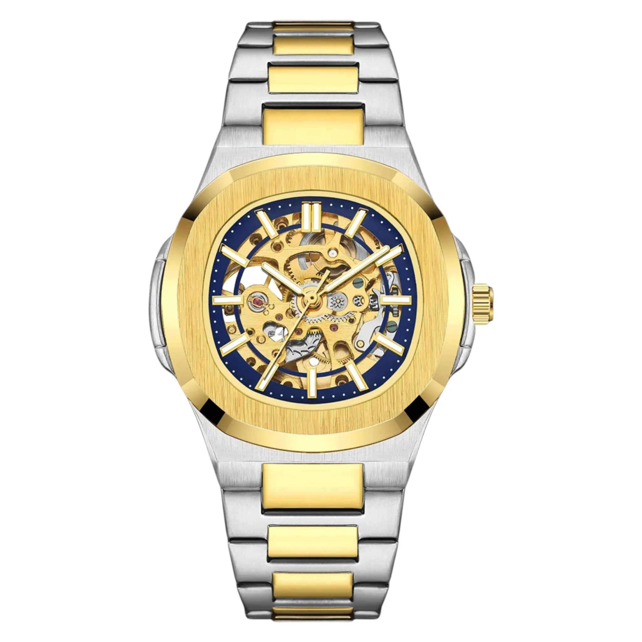 Veynorr® Skeleton